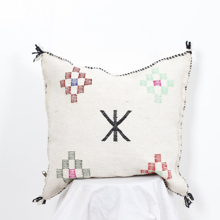 Pillows & Covers
