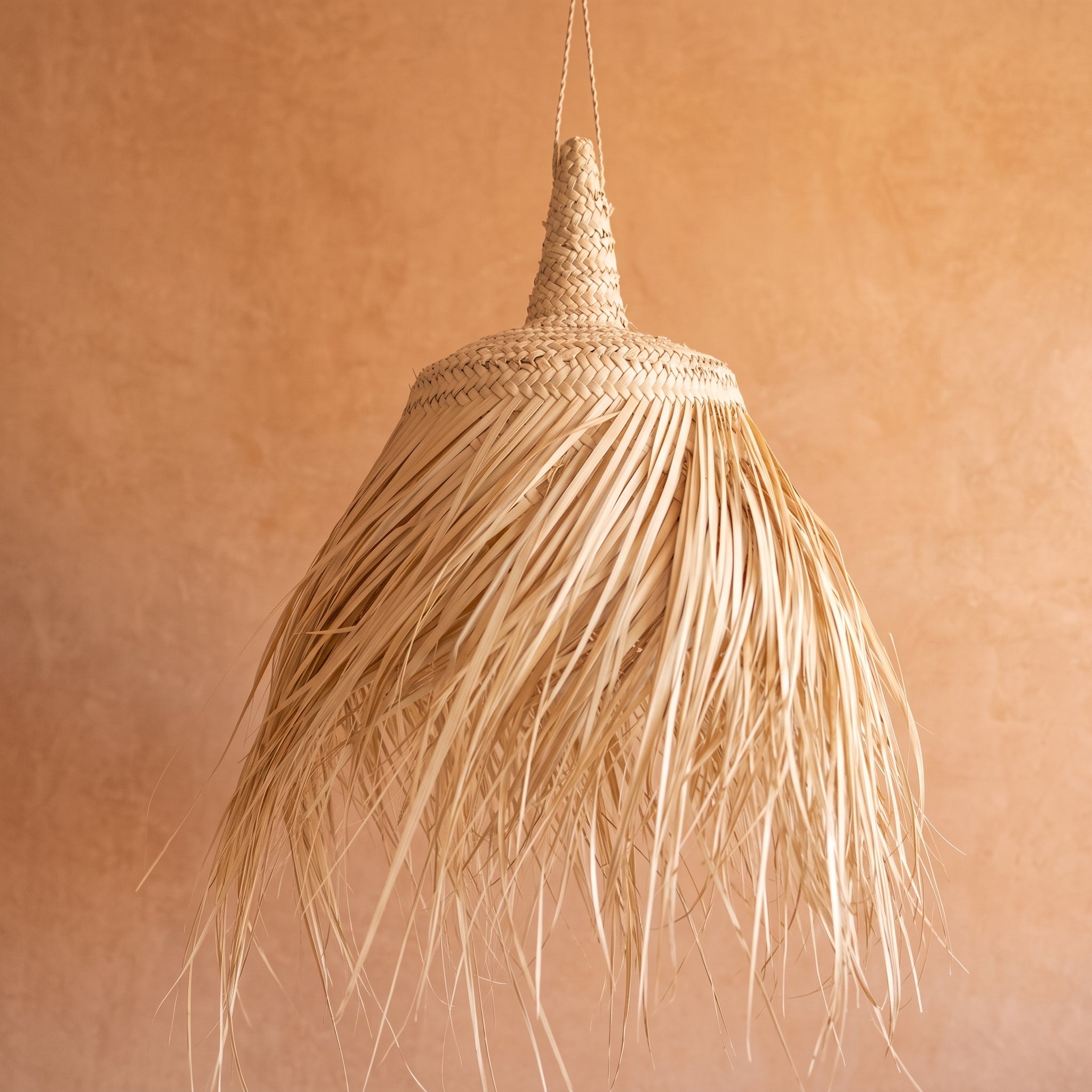  Fringed Palm Light