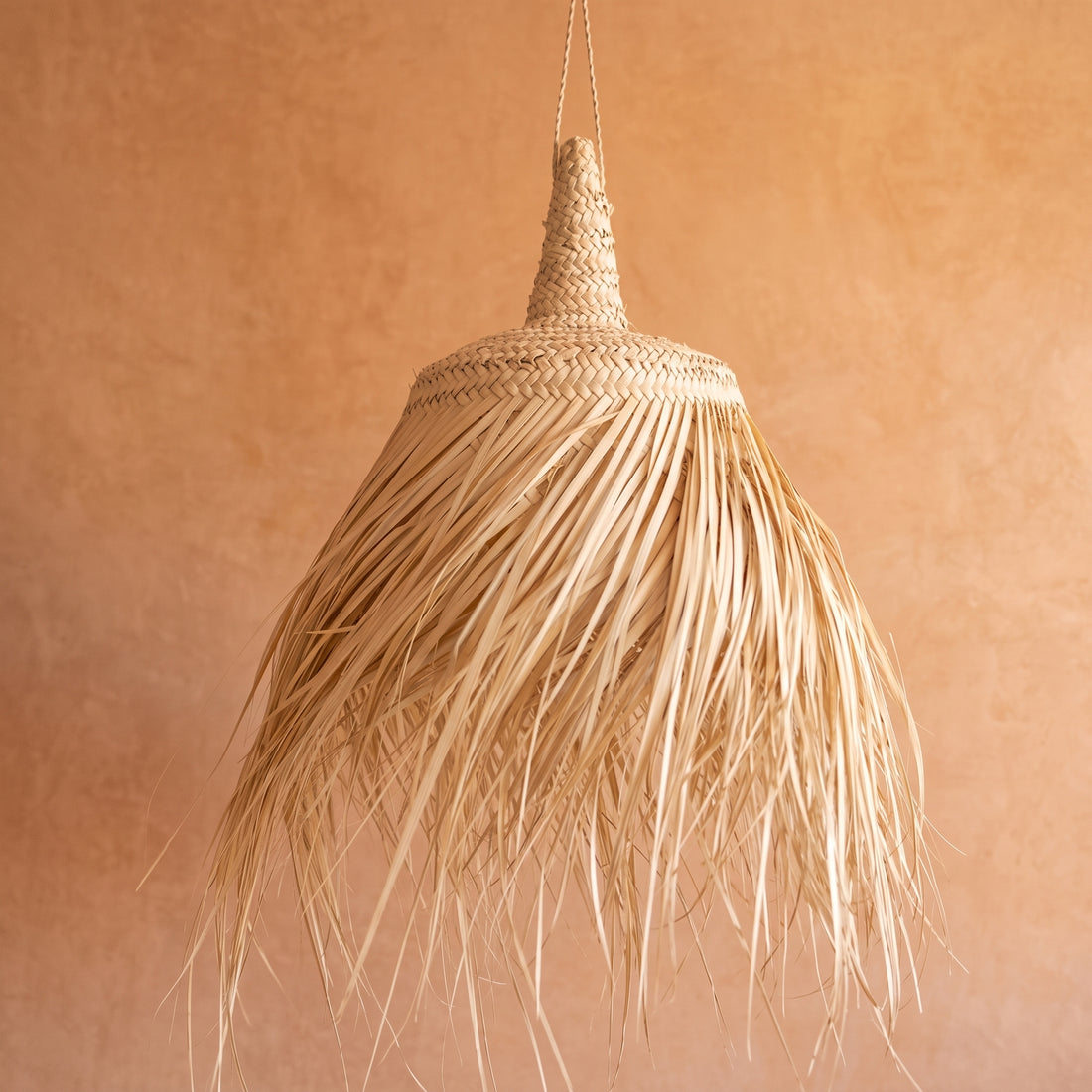  Fringed Palm Light