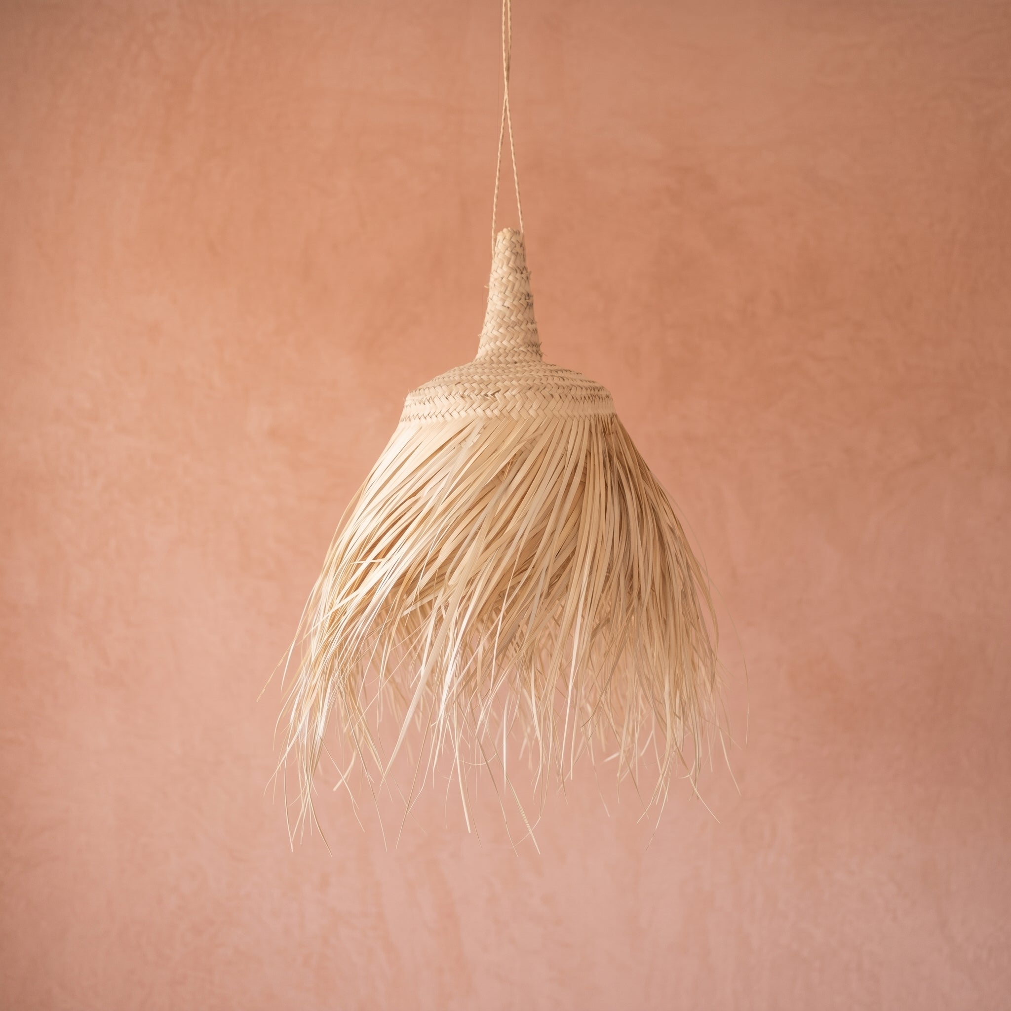 Fringed Palm Light