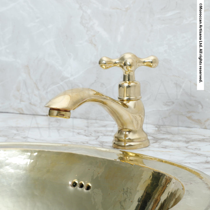 A gold-colored faucet with a curved spout is positioned above a round, reflective sink in the image.