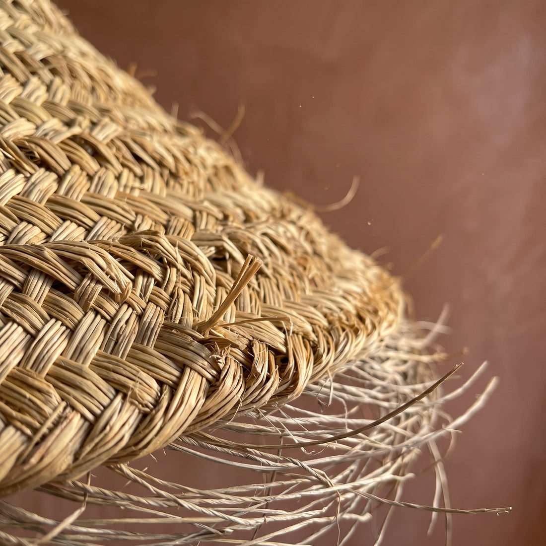 Handcrafted Moroccan Palm Dome Light   