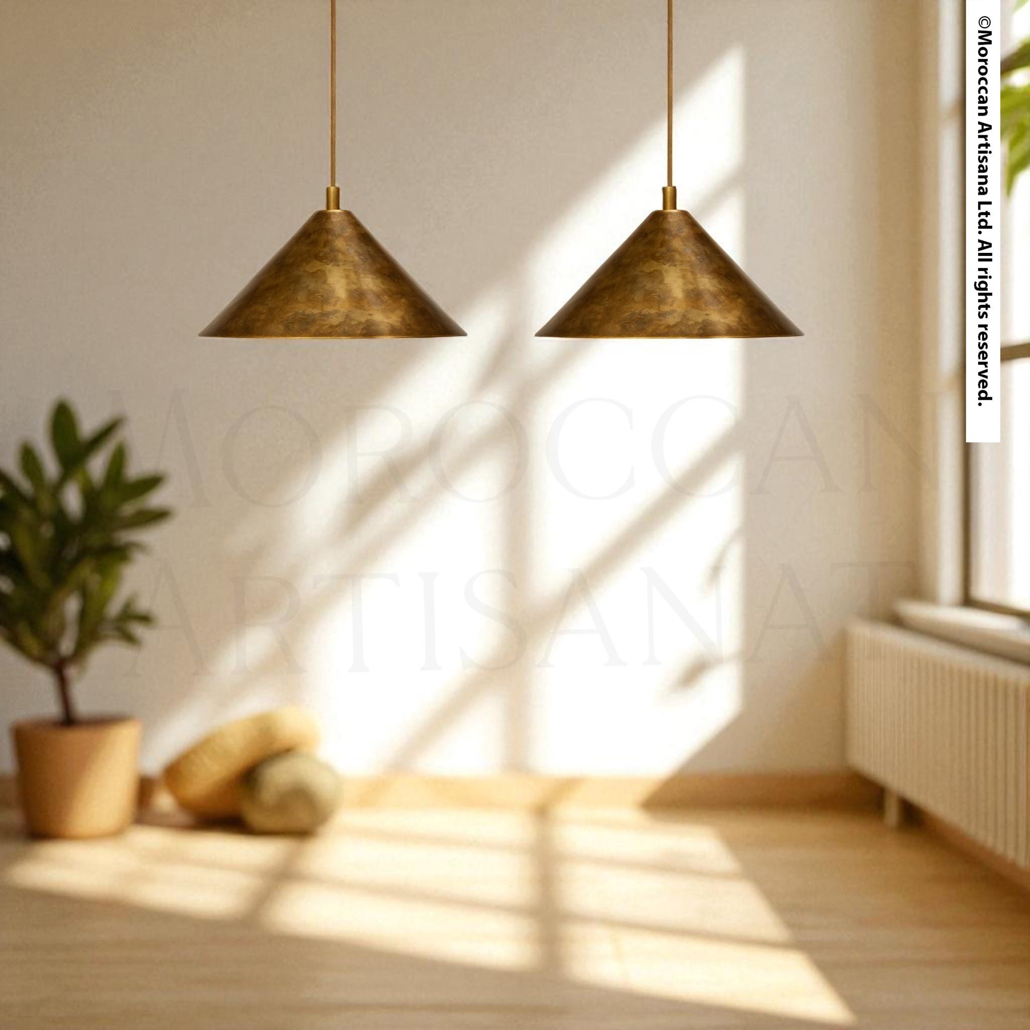 two pendant lights hanging from the ceiling, casting a warm glow in the room. The pendant lights are positioned above a plant, creating a cozy and inviting atmosphere.